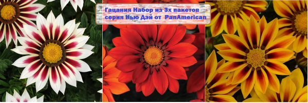 Фото Гацания (Газания) Нью Дэй PanAmerican, Набор 3 пакета, Агрофирма Поиск
